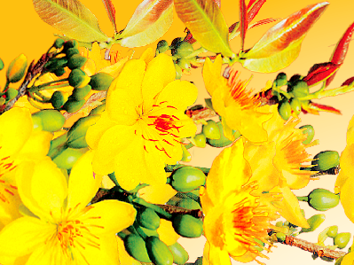 งาน “เต๊ดเวียด” หรือตรุษเต๊ดประเพณีที่เป็นเอกลักษณ์ของนักศึกษาเวียดนามในประเทศแคนาดา